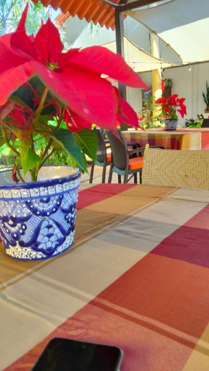 Bed and Breakfast Quinta Rosita Ticul Exterior foto