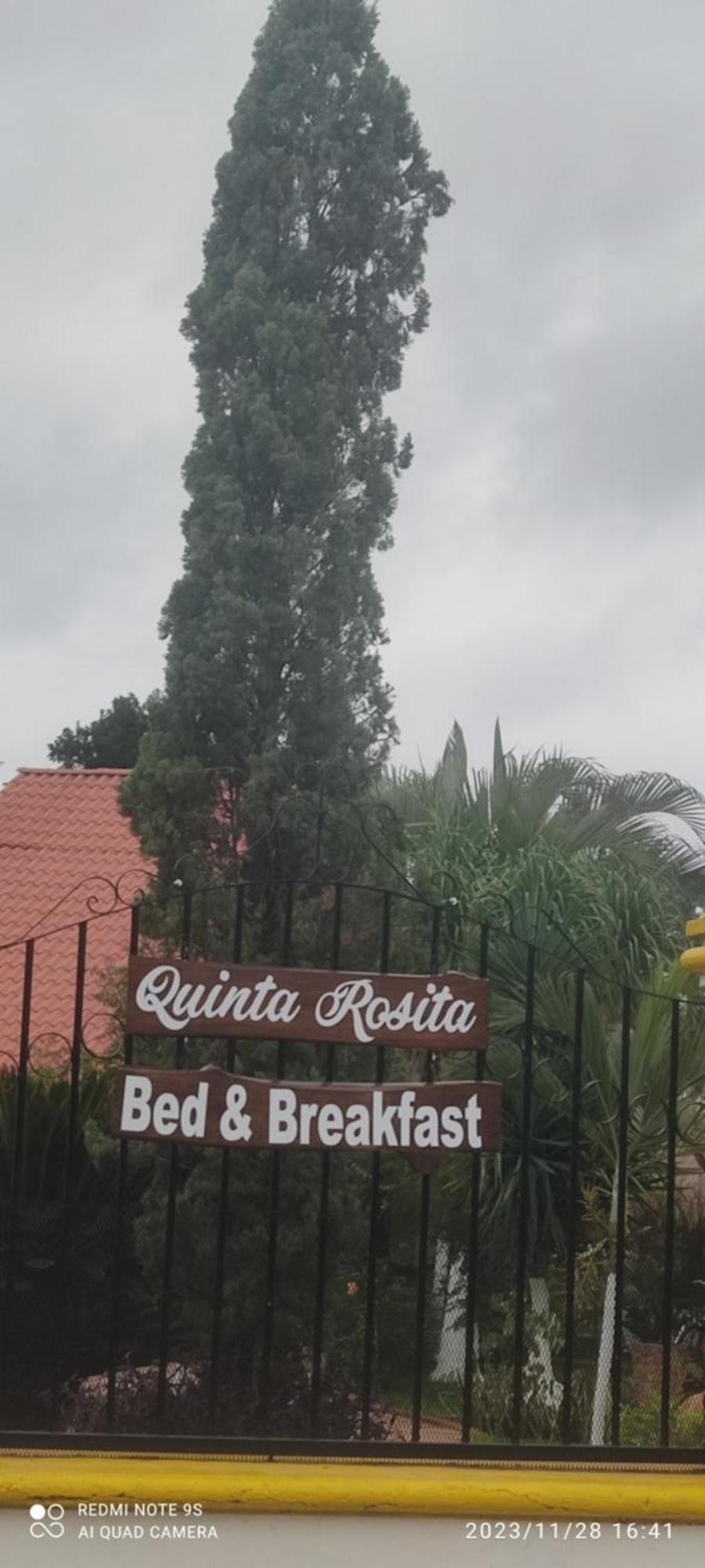 Bed and Breakfast Quinta Rosita Ticul Exterior foto