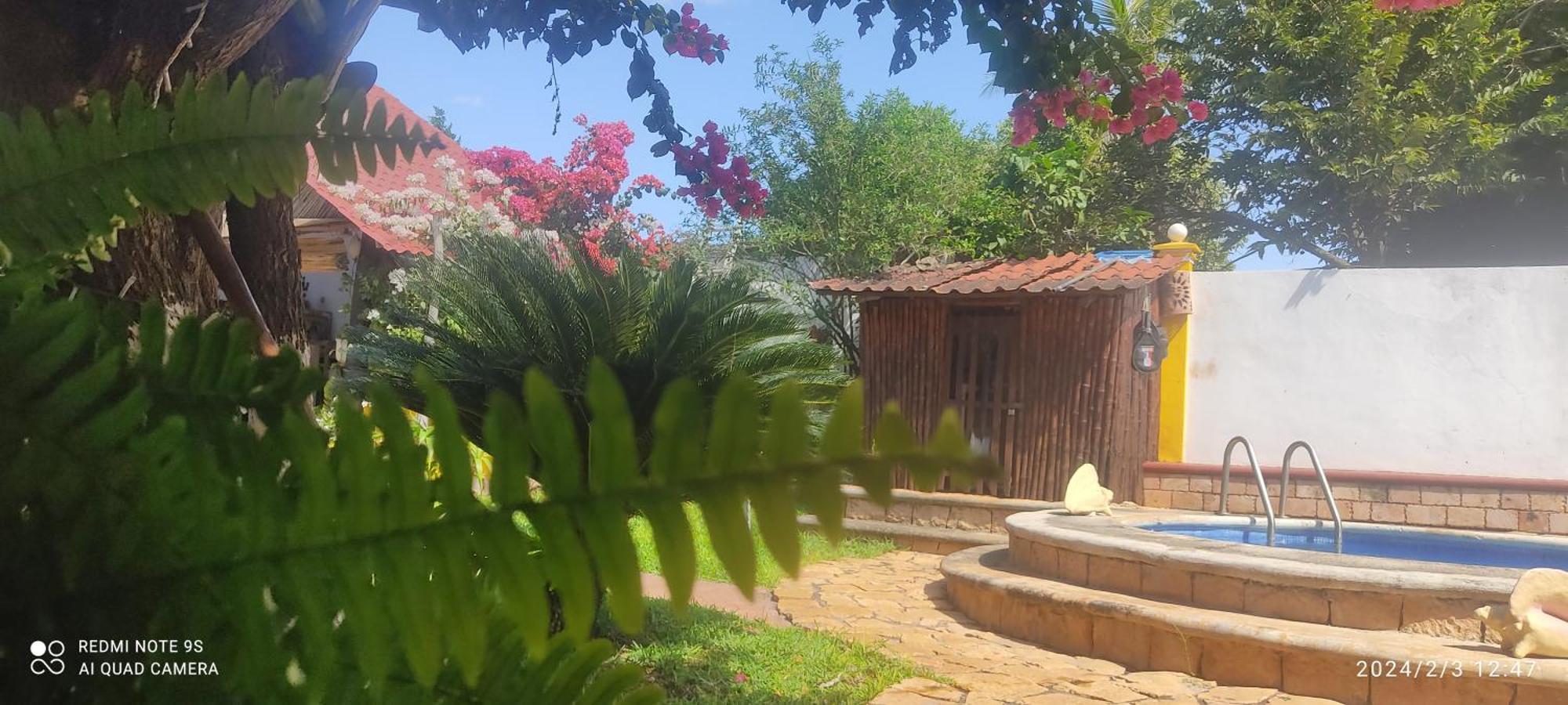 Bed and Breakfast Quinta Rosita Ticul Exterior foto