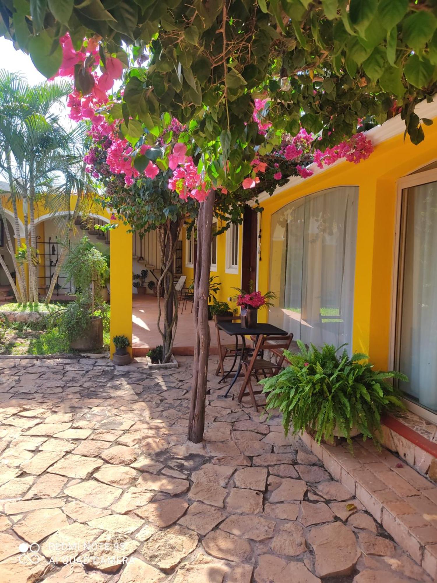 Bed and Breakfast Quinta Rosita Ticul Exterior foto