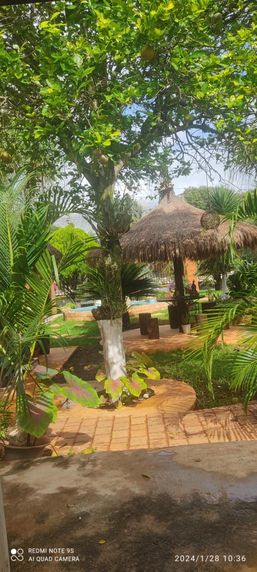 Bed and Breakfast Quinta Rosita Ticul Exterior foto