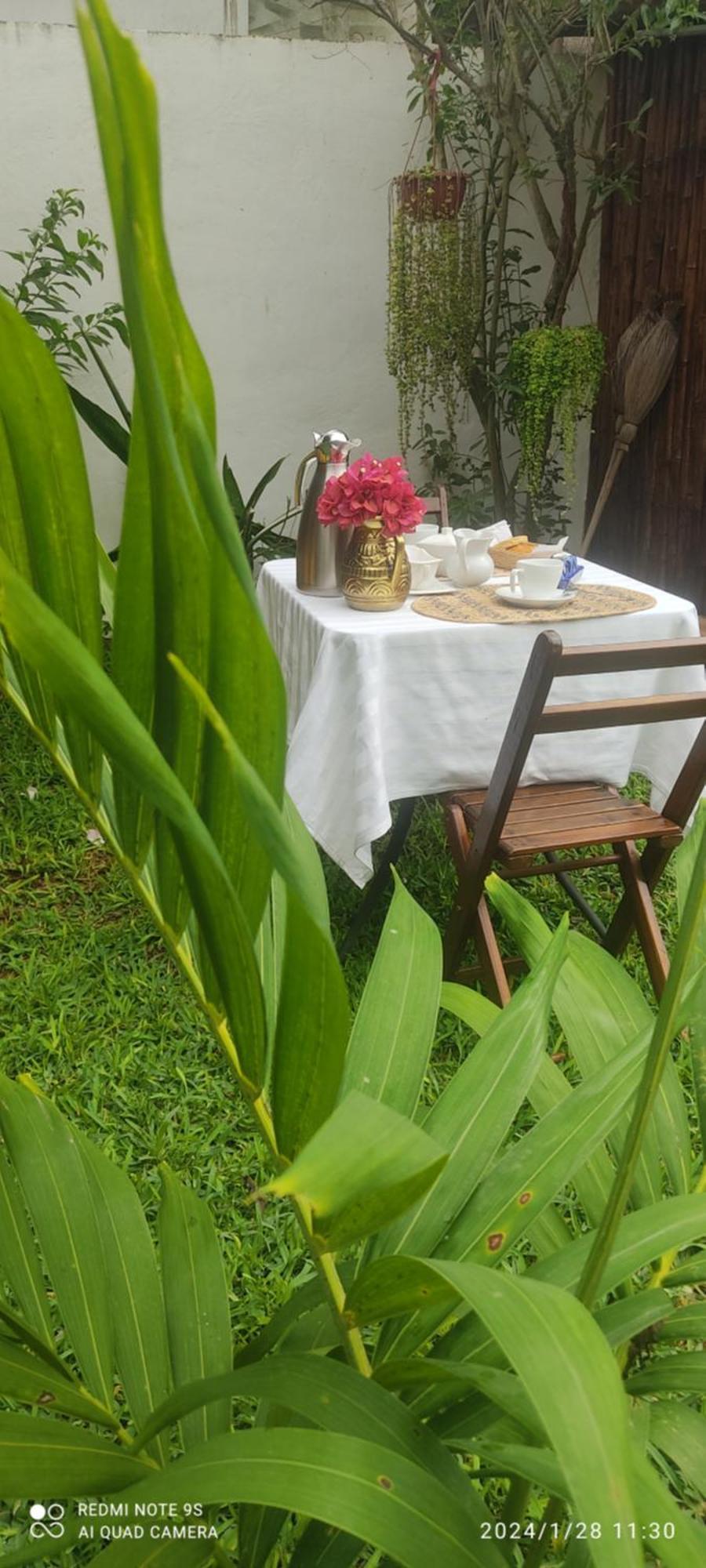 Bed and Breakfast Quinta Rosita Ticul Exterior foto