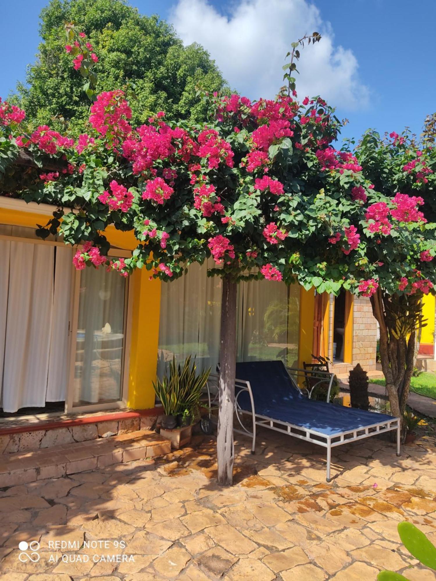 Bed and Breakfast Quinta Rosita Ticul Exterior foto