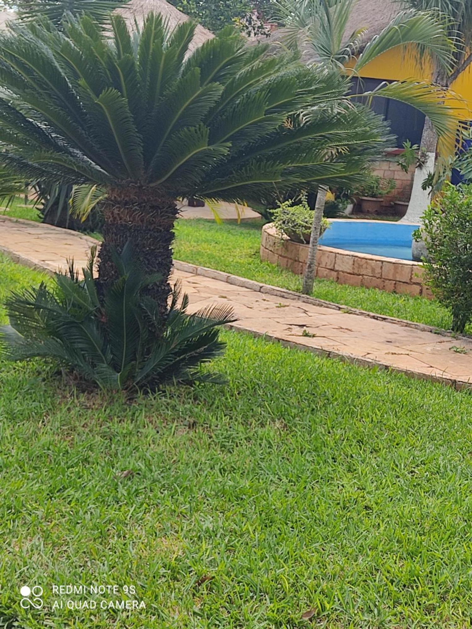 Bed and Breakfast Quinta Rosita Ticul Exterior foto