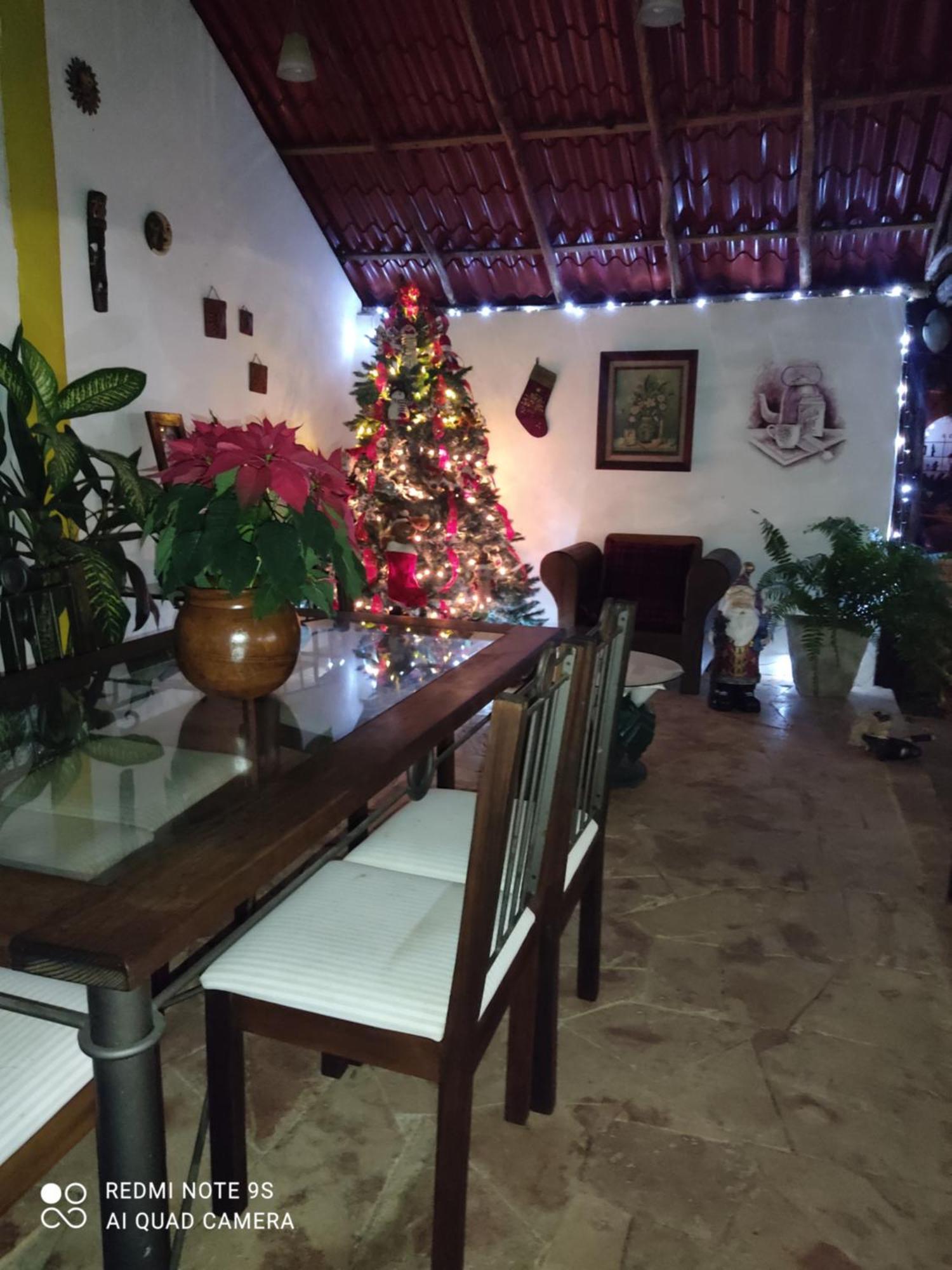 Bed and Breakfast Quinta Rosita Ticul Exterior foto